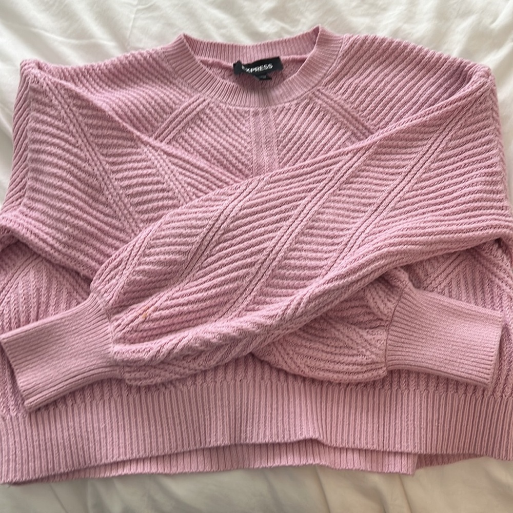 Express Pink Knit Sweater